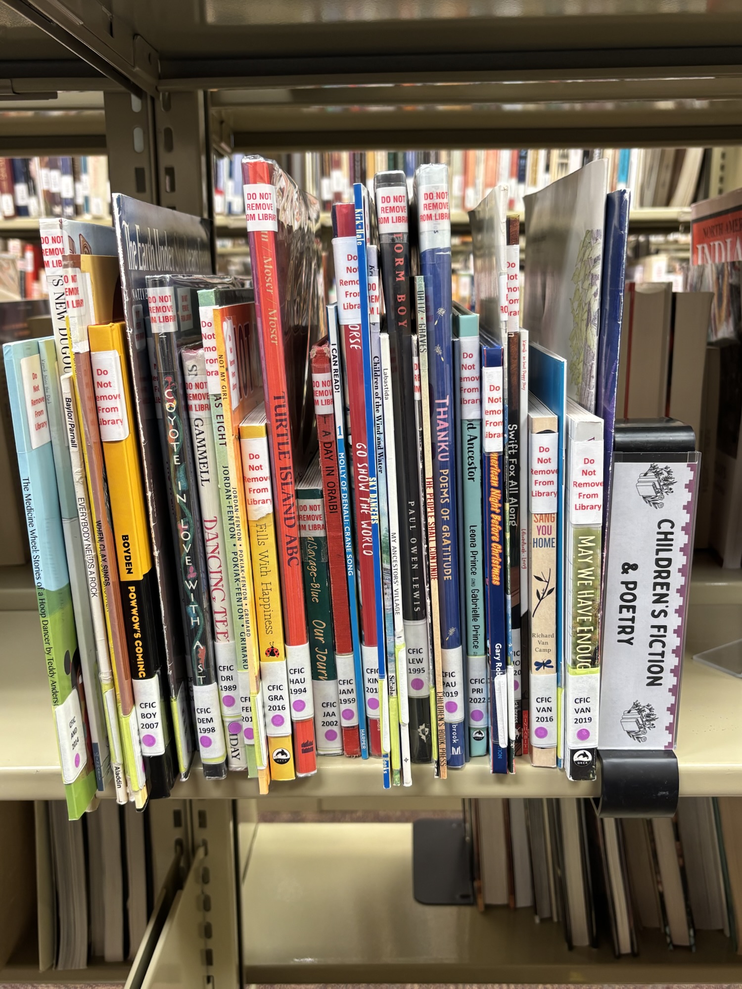 Genrefying the IPCC youth&nbsp;collection